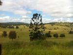 Marburg Qld 50 Acres 5-Star Lifestyle House and Land Package 01